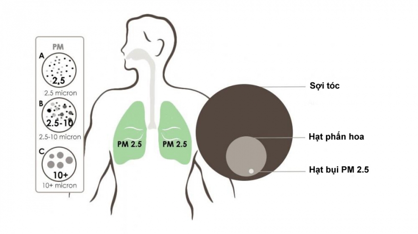 khẩu trang chống Virus 3 loại khẩu trang vừa chống Virus vừa chống bụi mịn PM 2.5