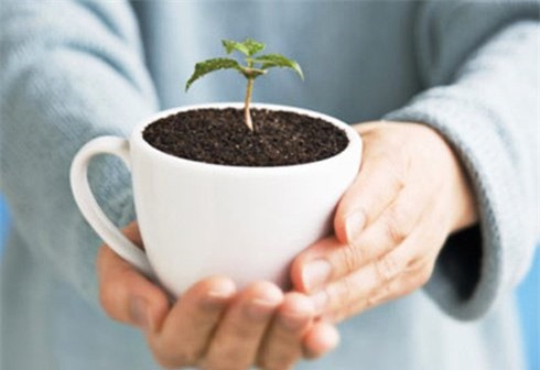 5 tác dụng cực hay từ bã cà phê