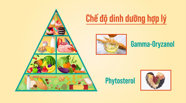 thừa cholesterol Tỷ lệ người Việt thừa cholesterol ở mức đáng báo động: Giải pháp là gì?