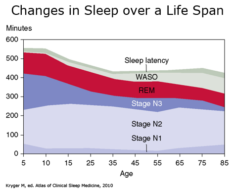 giấc ngủ Điều gì quyết định khi chúng ta ngủ