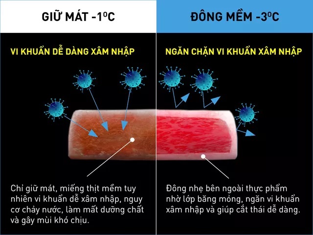 Hiểu đúng về công nghệ đông mềm “chuẩn”