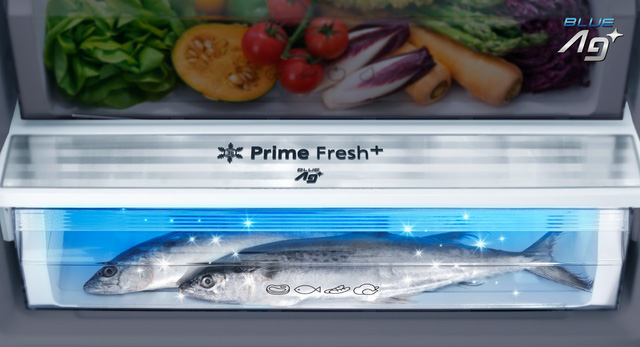 Hiểu đúng về công nghệ đông mềm “chuẩn”